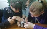 изображение_viber_2023-06-13_13-02-19-488