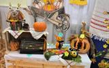 изображение_viber_2023-10-14_11-02-05-099