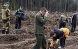изображение_viber_2024-04-05_09-19-18-942