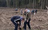 изображение_viber_2024-04-05_09-19-19-858