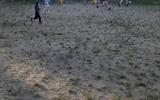 изображение_viber_2024-07-05_22-42-37-278