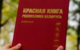 изображение_viber_2024-11-08_15-53-18-524