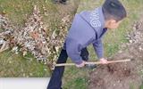 изображение_viber_2026-04-29_19-00-39-671