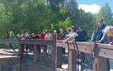 IMG_20260530_115322