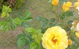 изображение_viber_2026-06-25_13-19-06-477