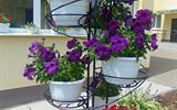 изображение_viber_2026-06-25_13-19-06-580
