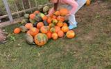 изображение_viber_2026-09-24_21-10-34-775