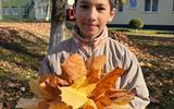 изображение_viber_2026-10-17_14-25-08-517